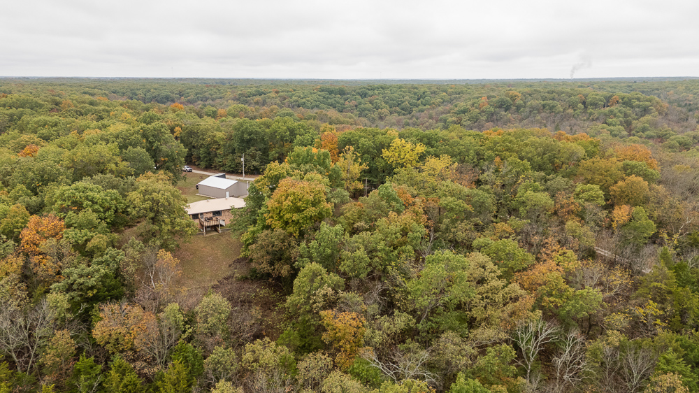 A Hunters Paradise in Saint Clair County