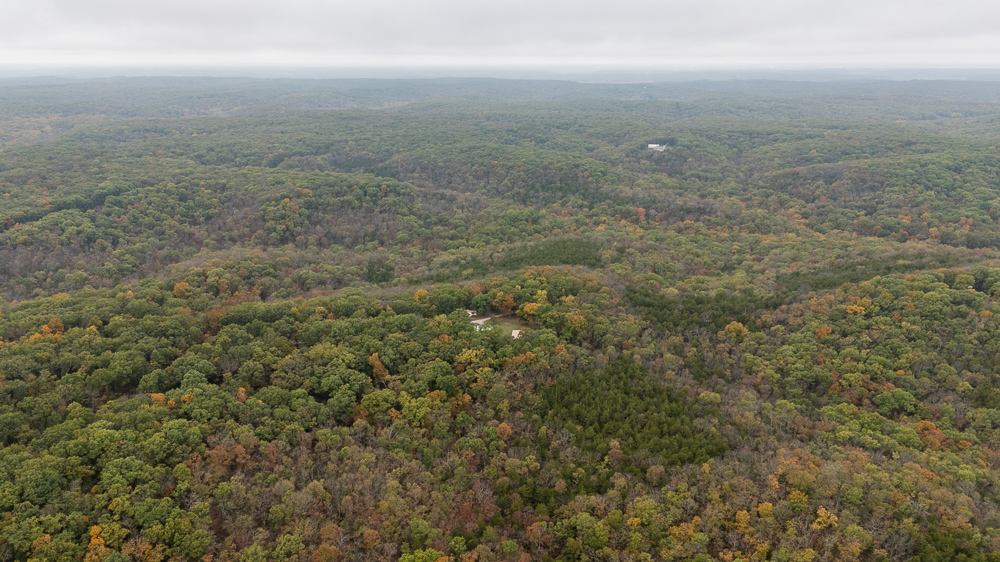 A Hunters Paradise in Saint Clair County