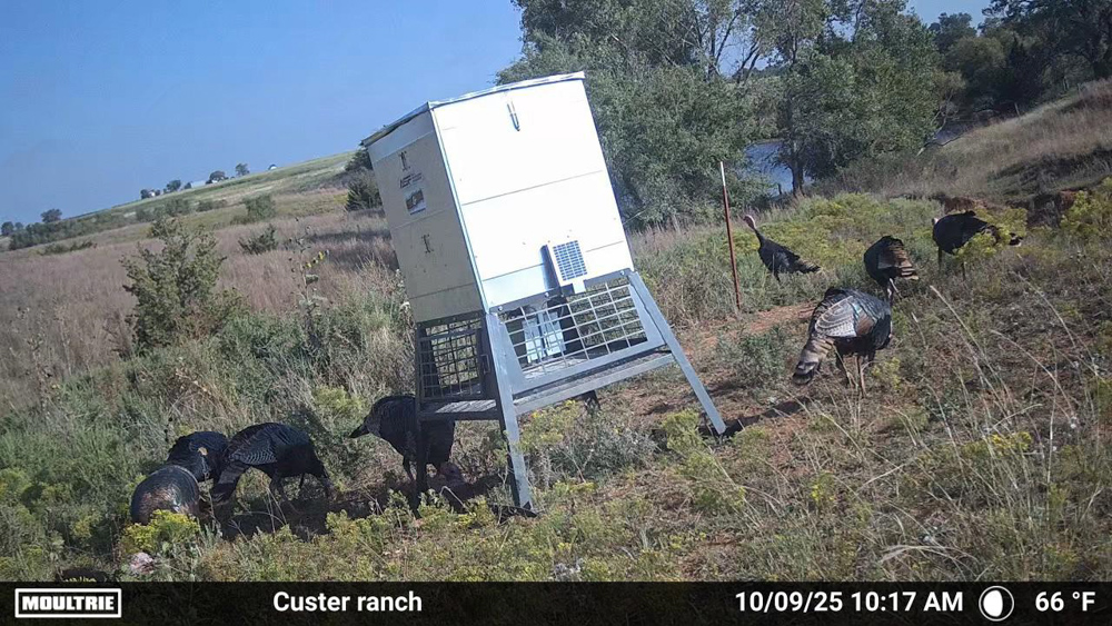 160 +/- Acres of Tillable and Grassland with Strong Soils & Income