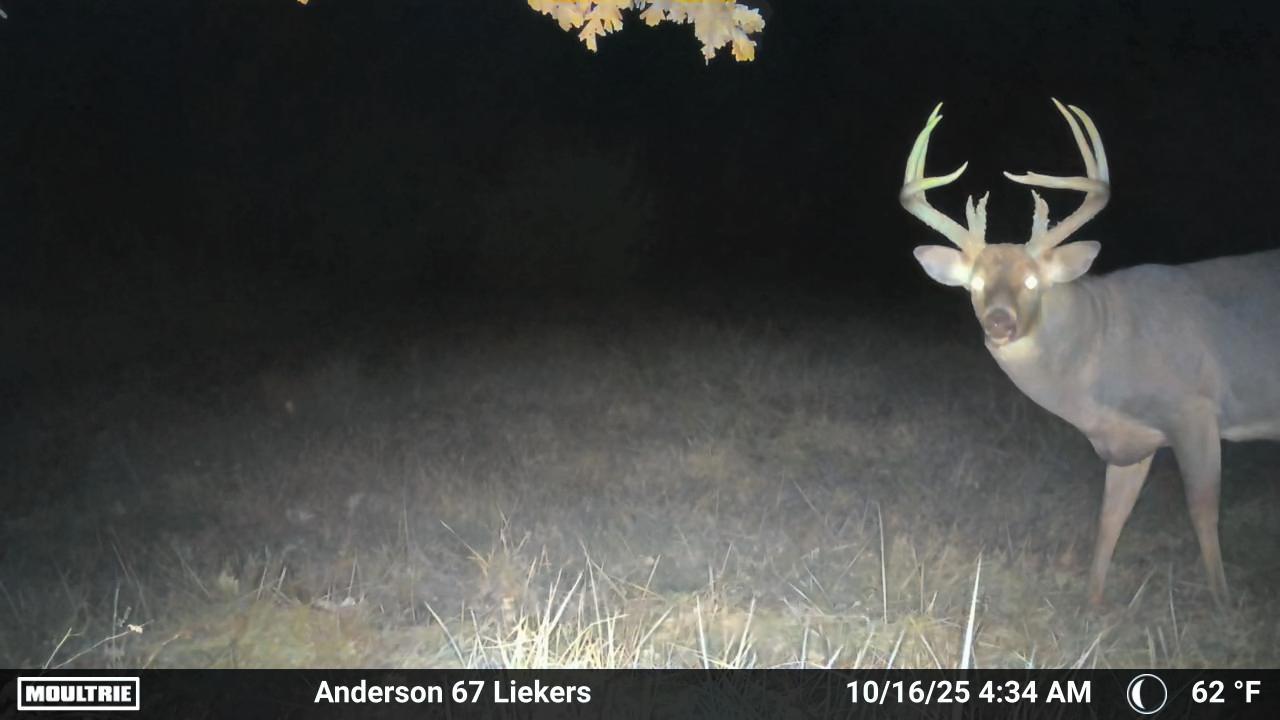 Luxury Country Living with Breathtaking Views 40 Minutes from Overland Park