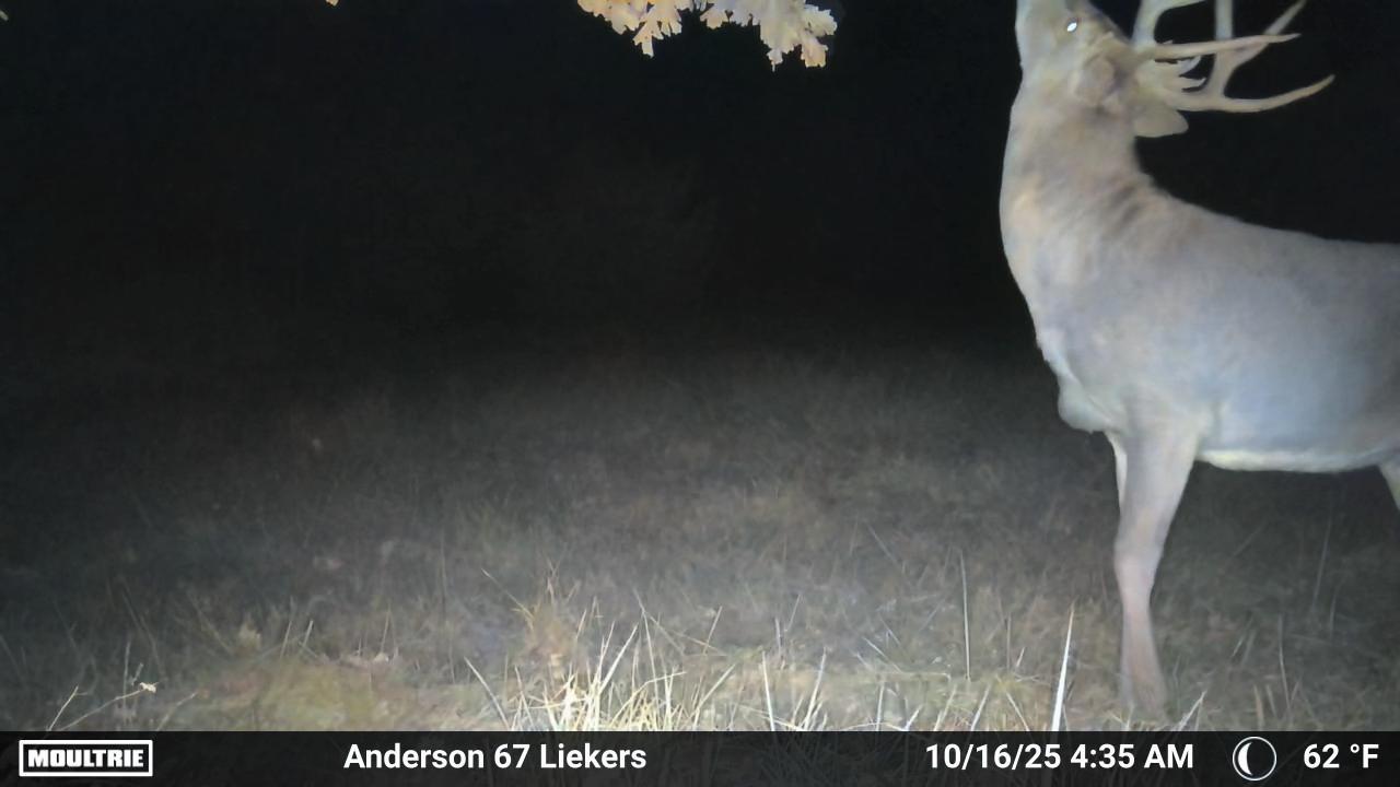 Luxury Country Living with Breathtaking Views 40 Minutes from Overland Park