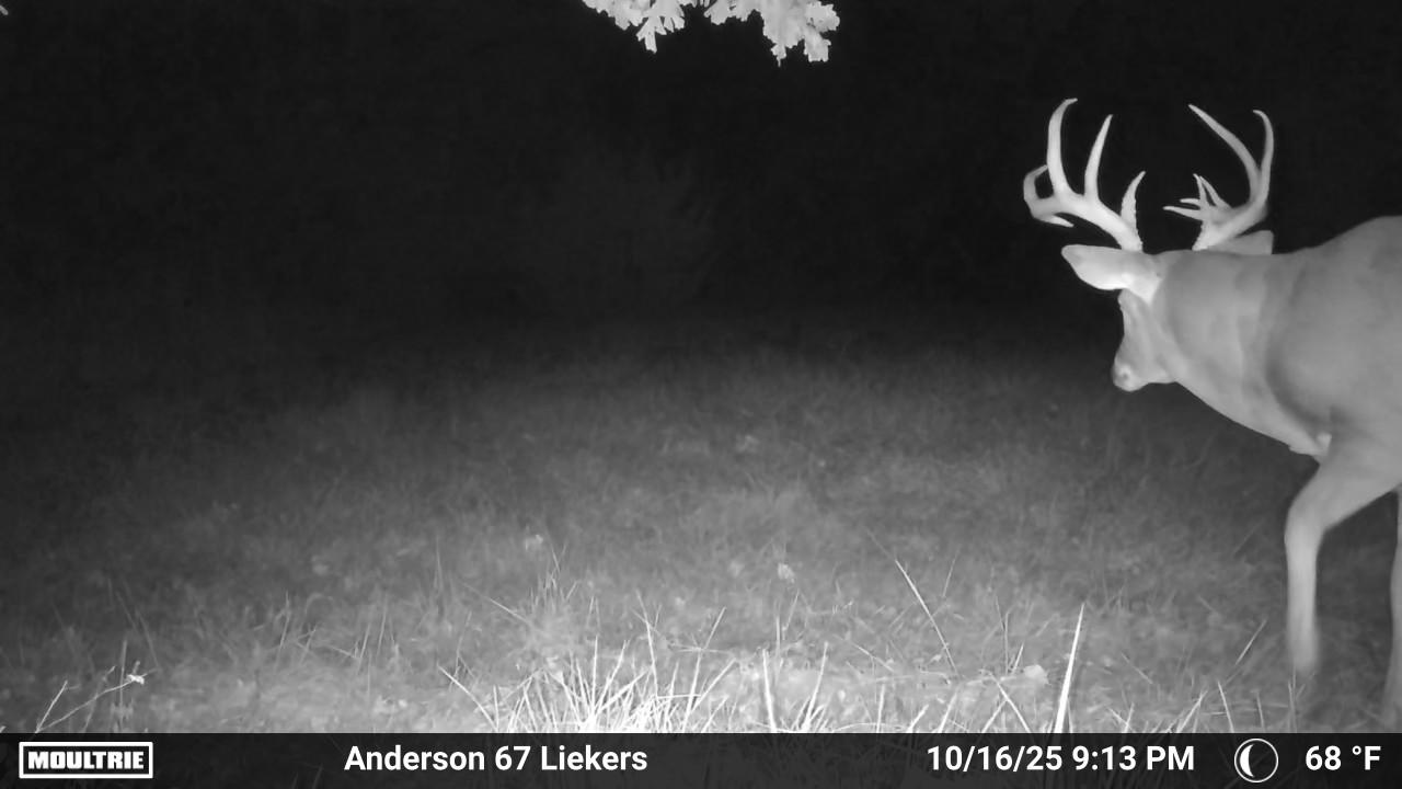 Luxury Country Living with Breathtaking Views 40 Minutes from Overland Park