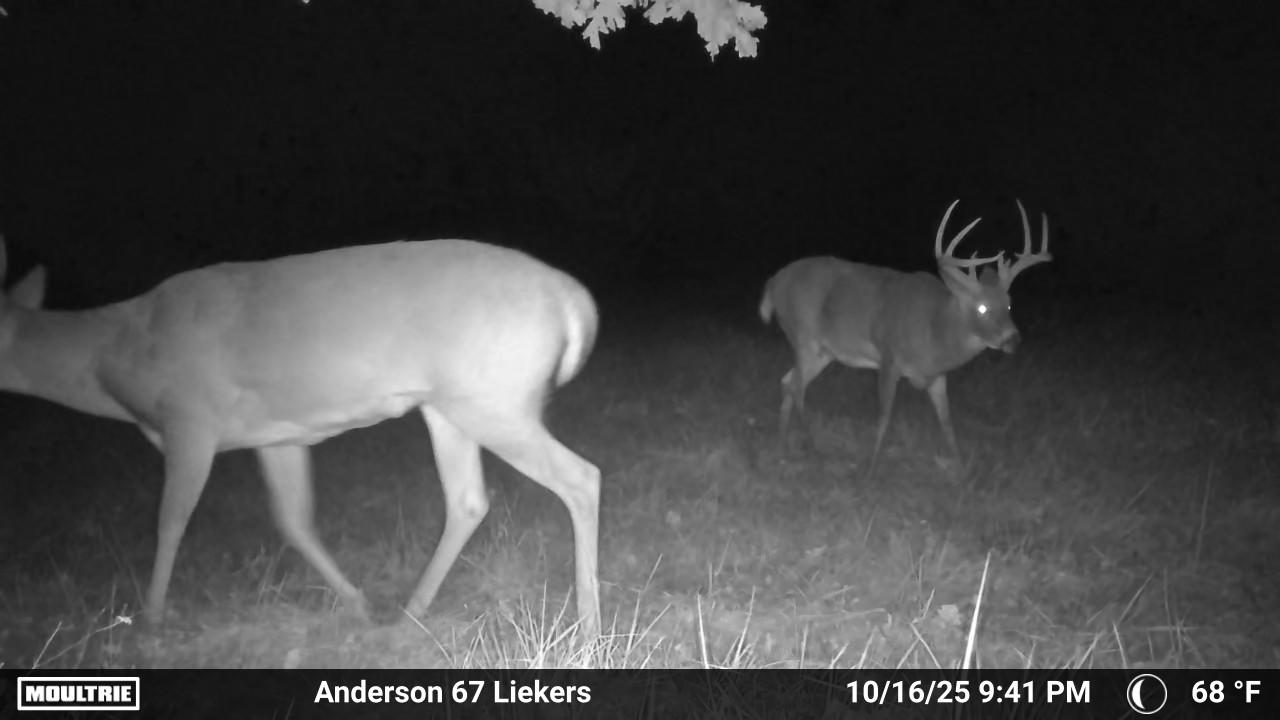 Luxury Country Living with Breathtaking Views 40 Minutes from Overland Park