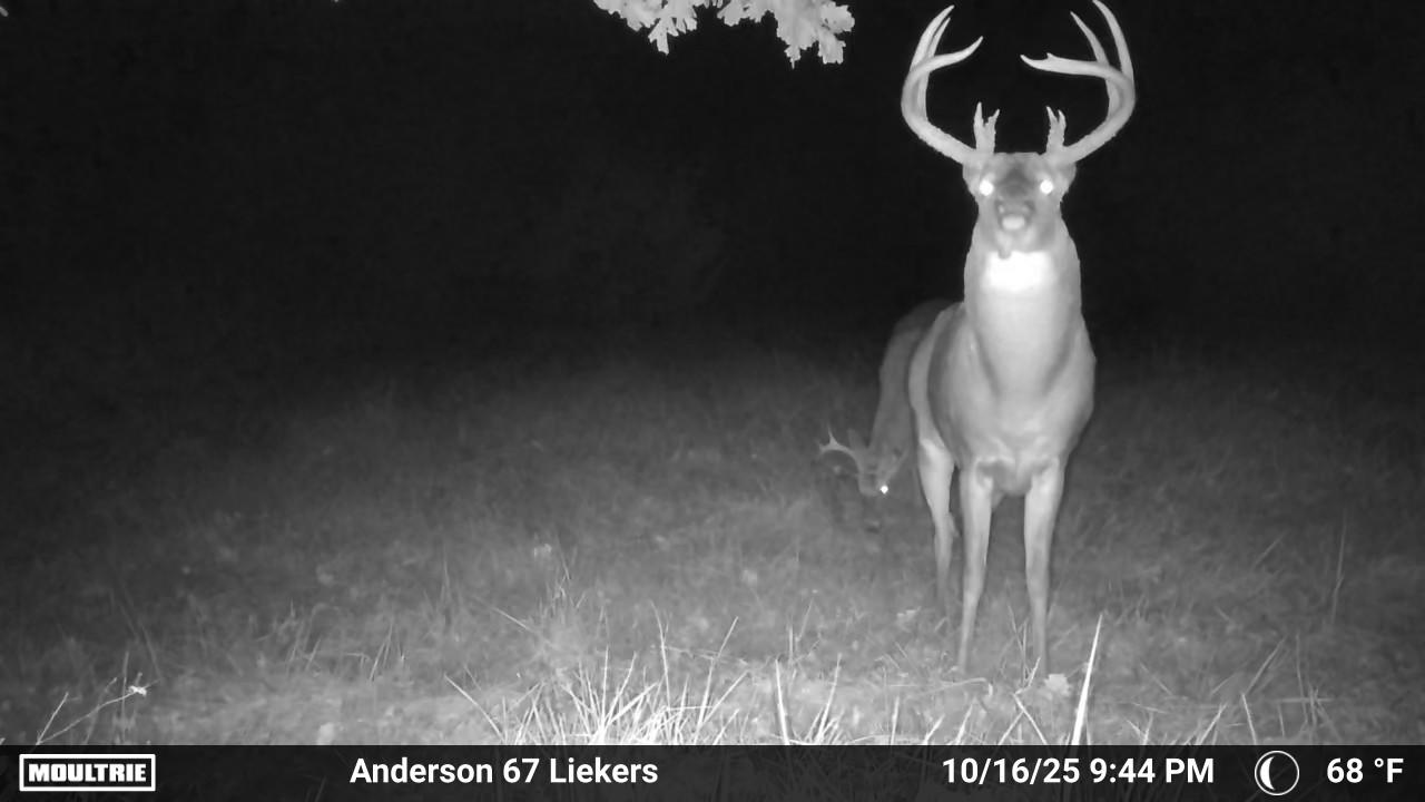 Luxury Country Living with Breathtaking Views 40 Minutes from Overland Park