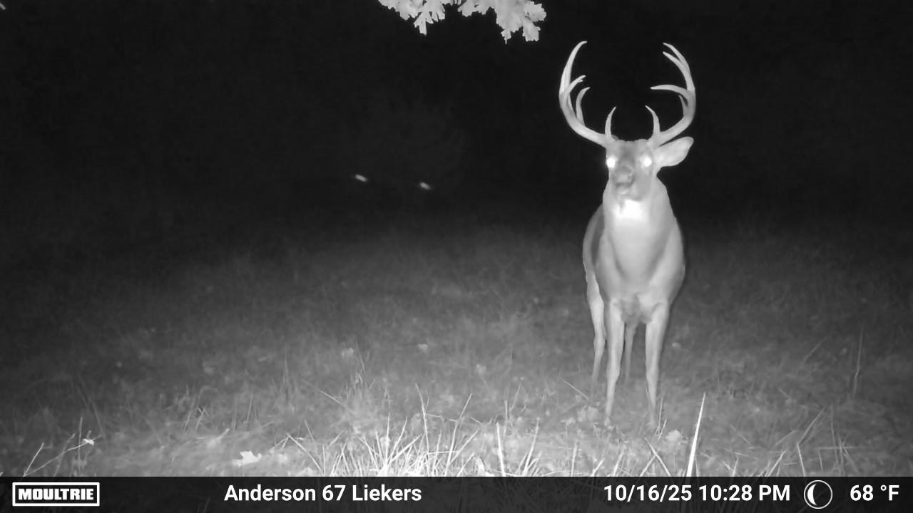 Luxury Country Living with Breathtaking Views 40 Minutes from Overland Park