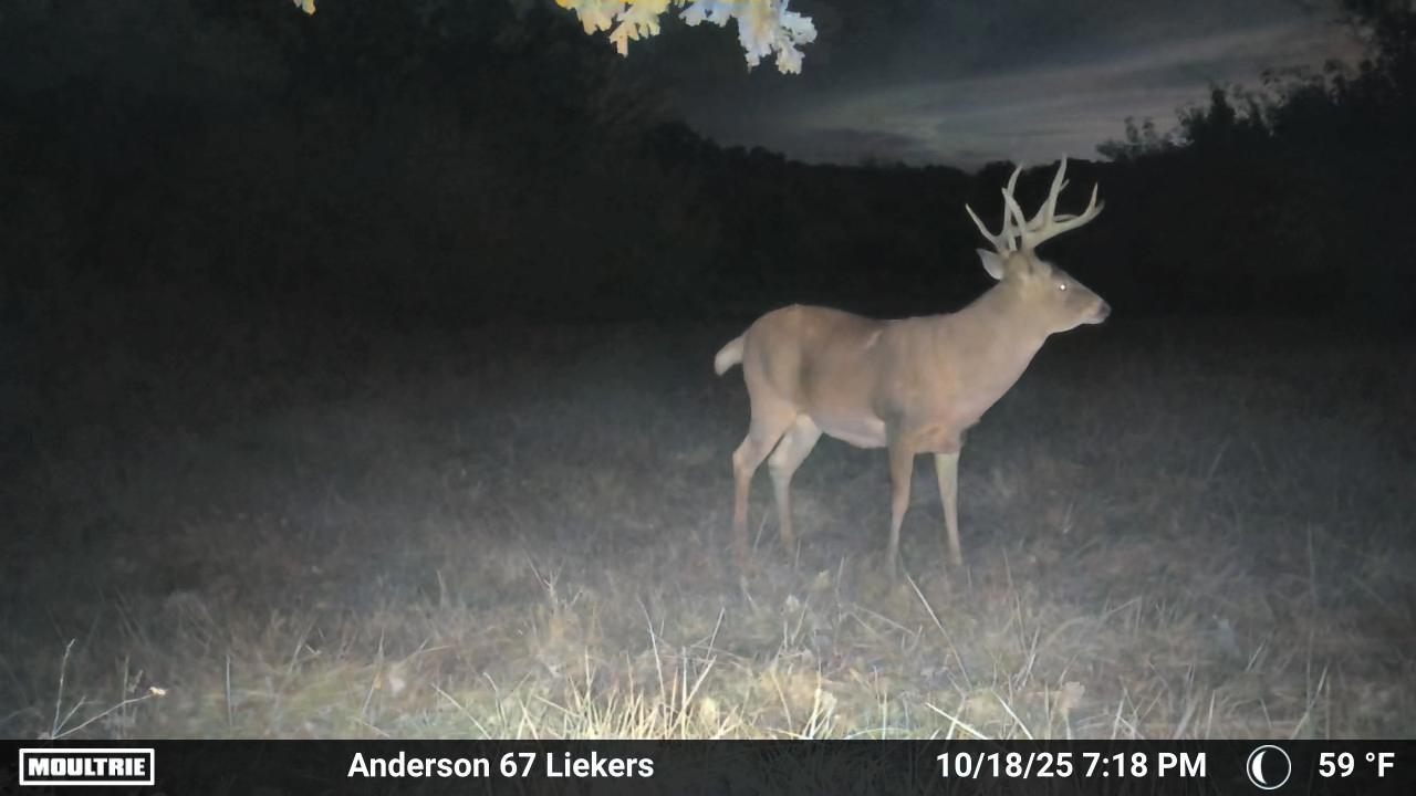 Luxury Country Living with Breathtaking Views 40 Minutes from Overland Park