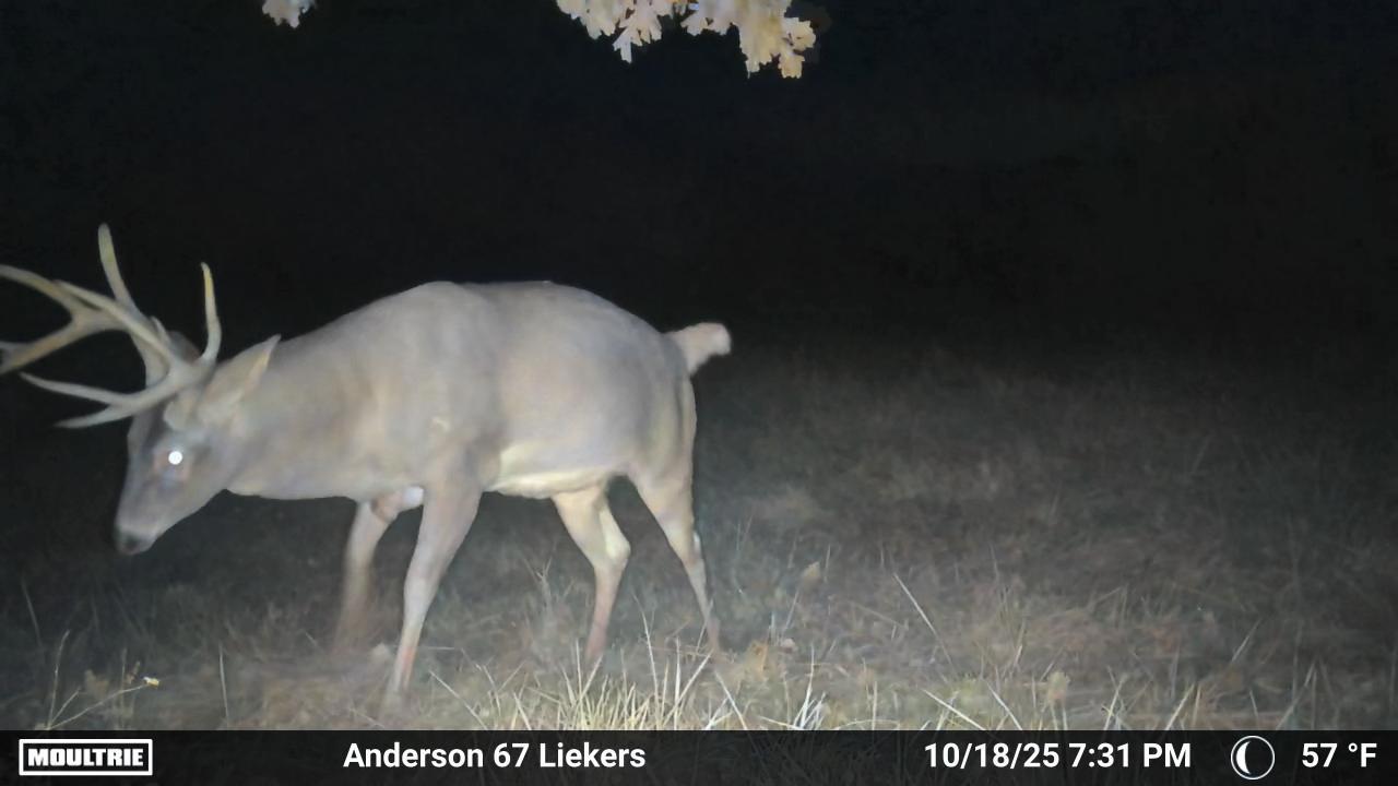 Luxury Country Living with Breathtaking Views 40 Minutes from Overland Park