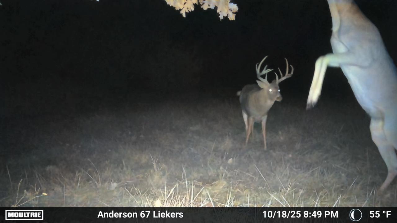 Luxury Country Living with Breathtaking Views 40 Minutes from Overland Park