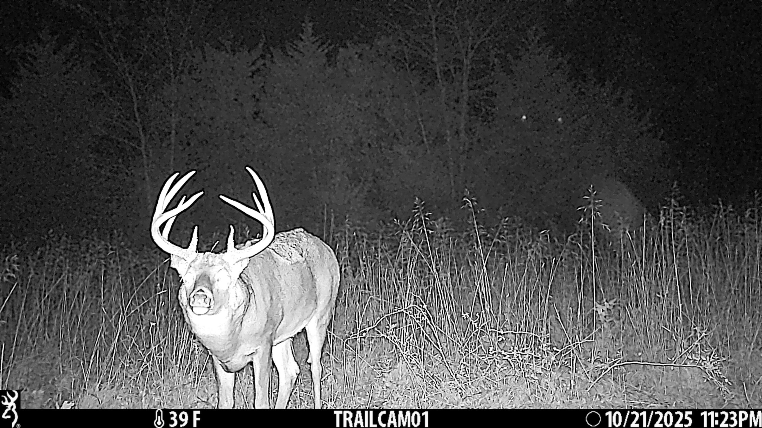 Exceptional Pasture Farm with World-Class Hunting & Recreational Potential