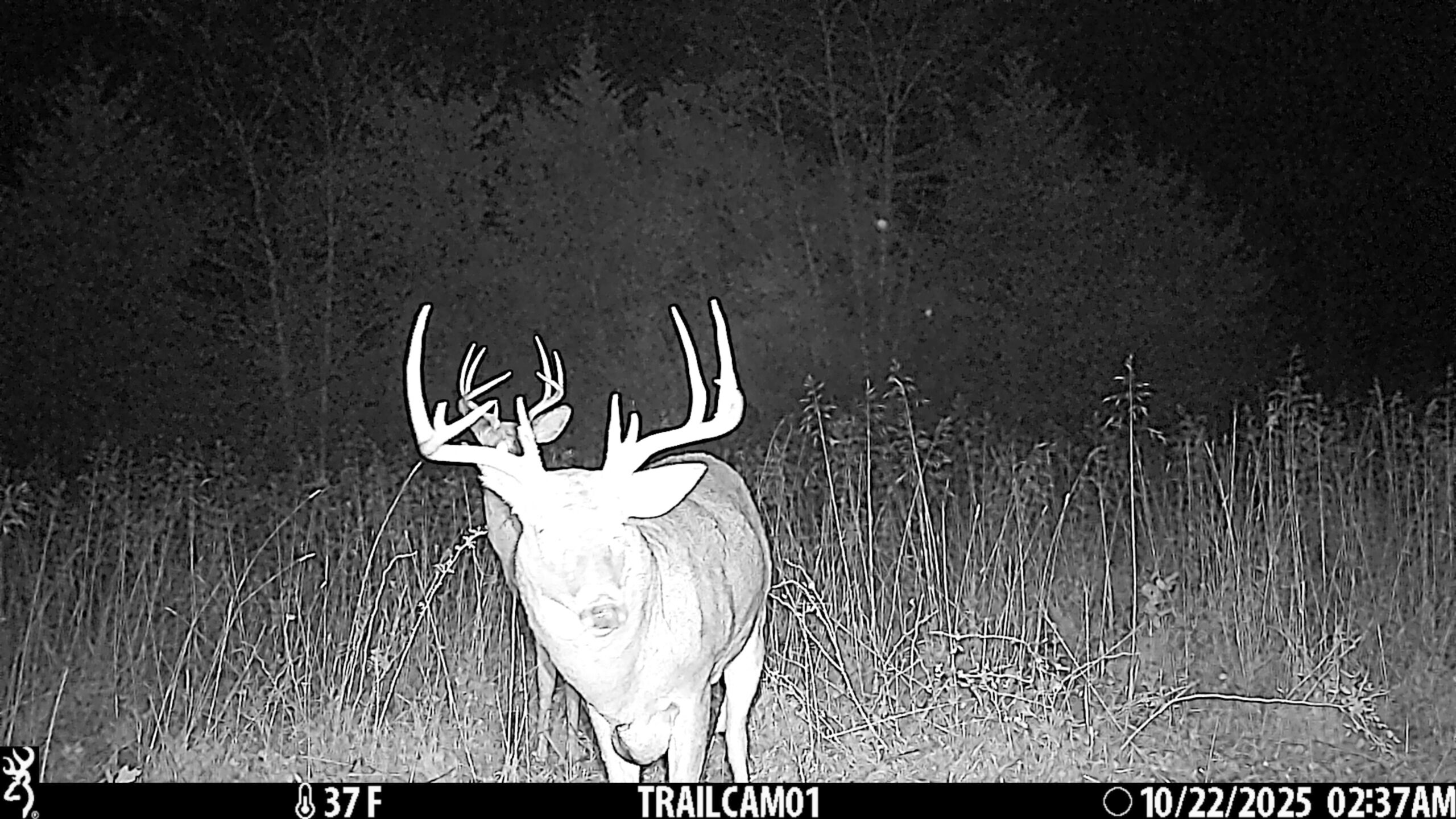 Exceptional Pasture Farm with World-Class Hunting & Recreational Potential