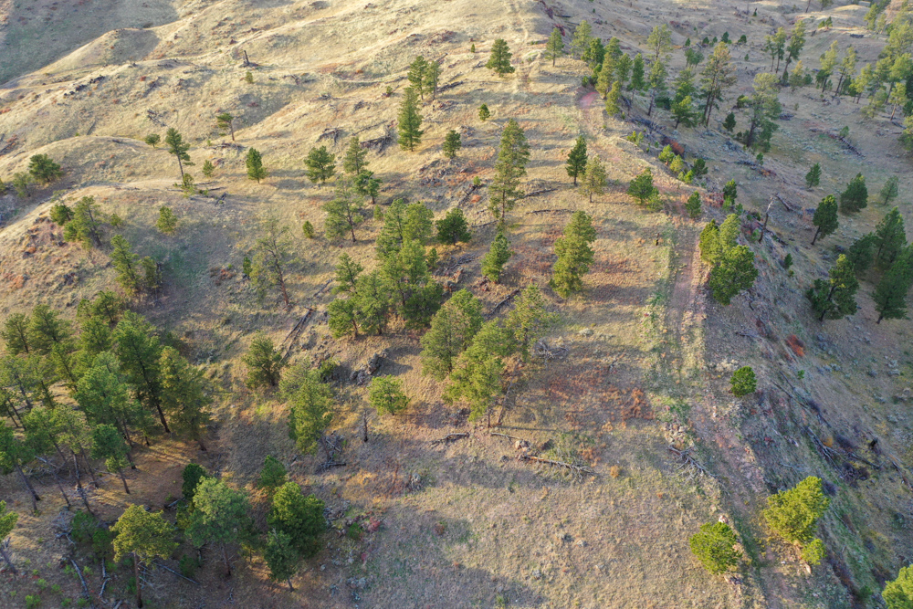 Pine Valley Build Site - Broad Axe Tract A5