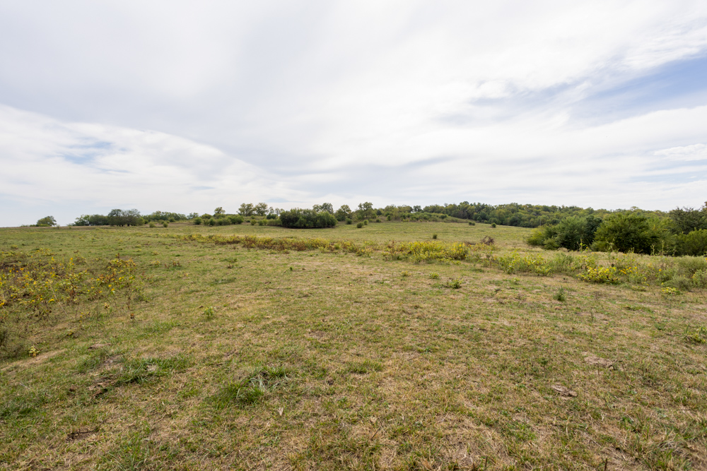 Sprawling Century Farm and Ranch with Pastures, Ponds, Hay Fields, Barns and a Home