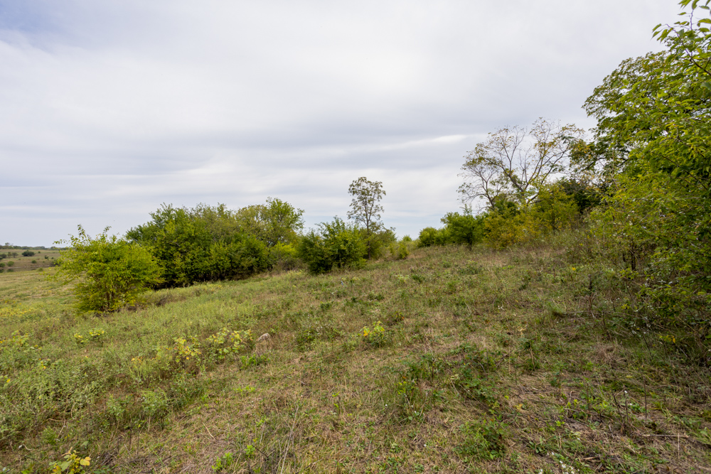 Sprawling Century Farm and Ranch with Pastures, Ponds, Hay Fields, Barns and a Home