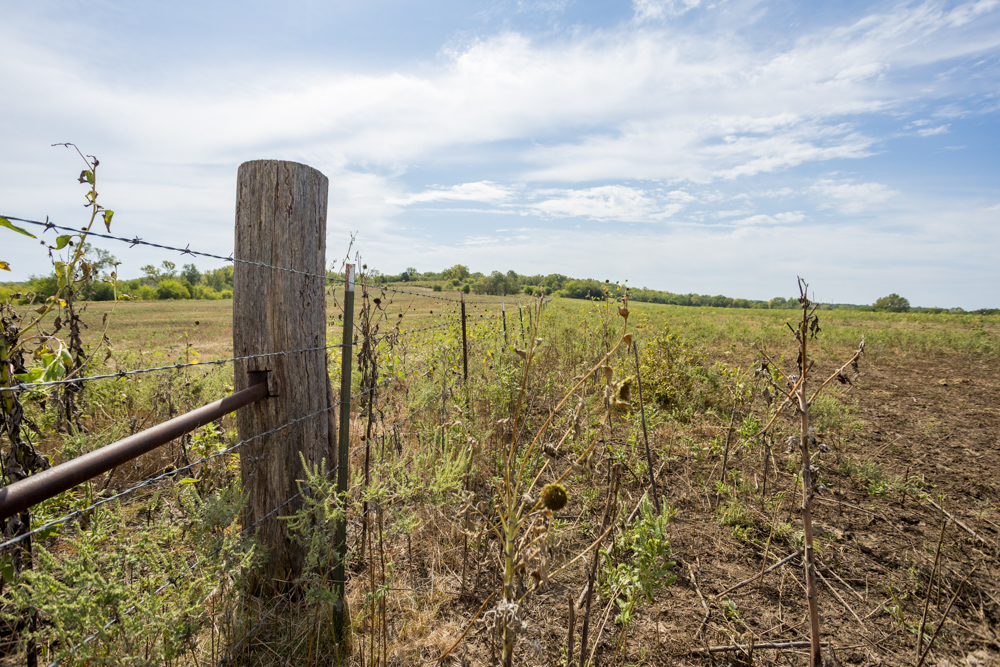 Sprawling Century Farm and Ranch with Pastures, Ponds, Hay Fields, Barns and a Home