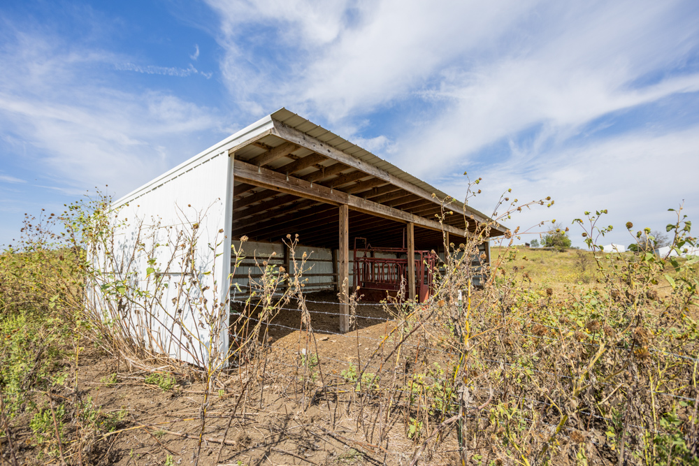 Sprawling Century Farm and Ranch with Pastures, Ponds, Hay Fields, Barns and a Home