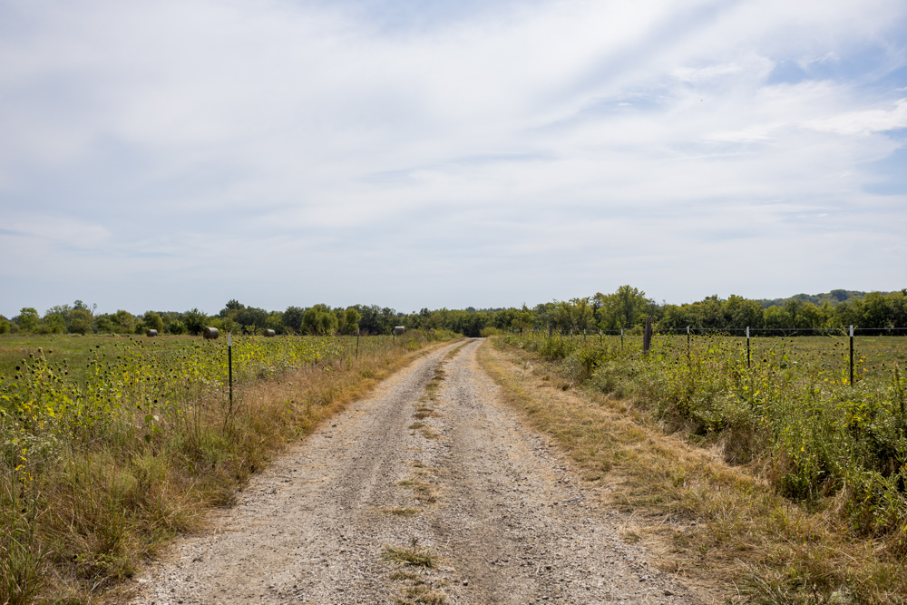 Sprawling Century Farm and Ranch with Pastures, Ponds, Hay Fields, Barns and a Home