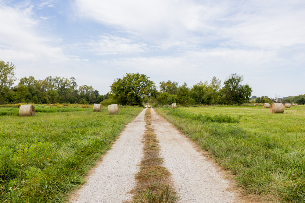 Sprawling Century Farm and Ranch with Pastures, Ponds, Hay Fields, Barns and a Home