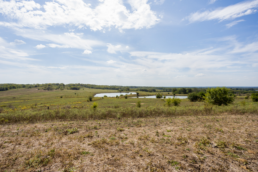 Sprawling Century Farm and Ranch with Pastures, Ponds, Hay Fields, Barns and a Home