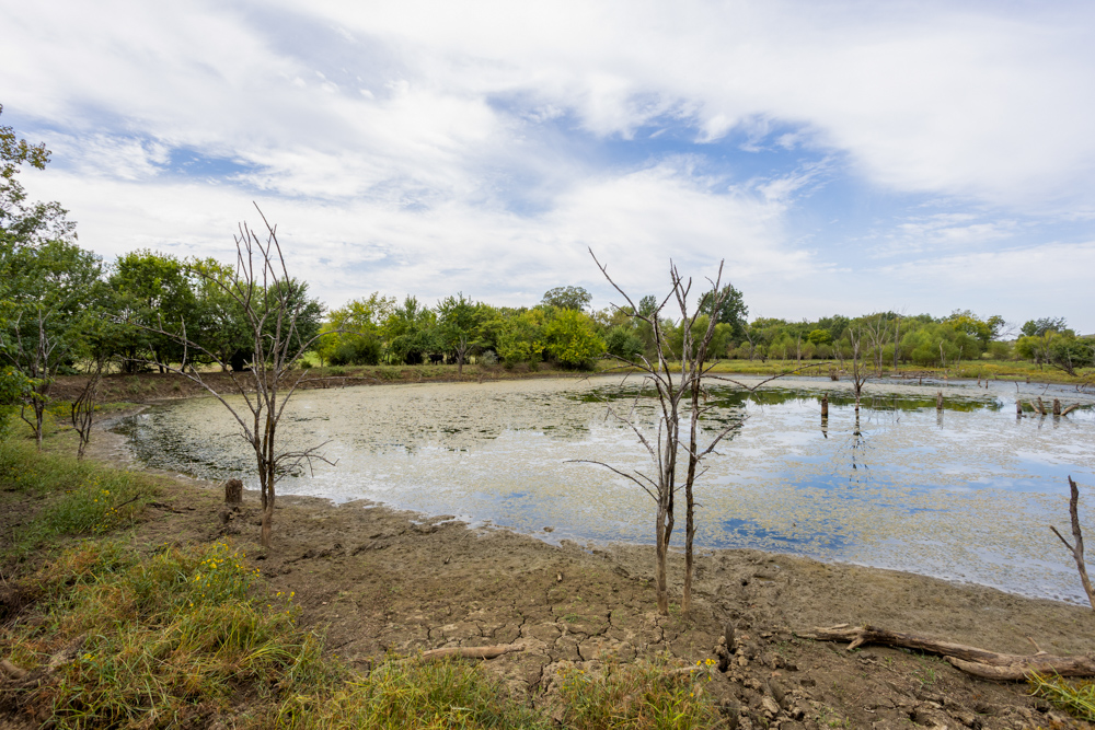 Sprawling Century Farm and Ranch with Pastures, Ponds, Hay Fields, Barns and a Home
