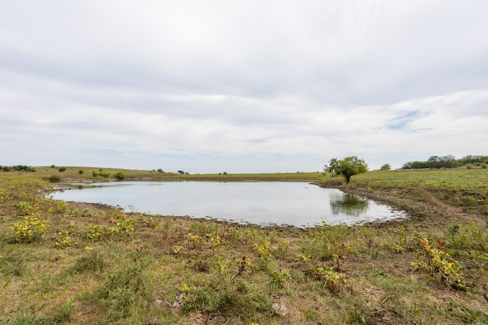 Sprawling Century Farm and Ranch with Pastures, Ponds, Hay Fields, Barns and a Home