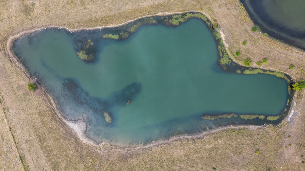 Sprawling Century Farm and Ranch with Pastures, Ponds, Hay Fields, Barns and a Home