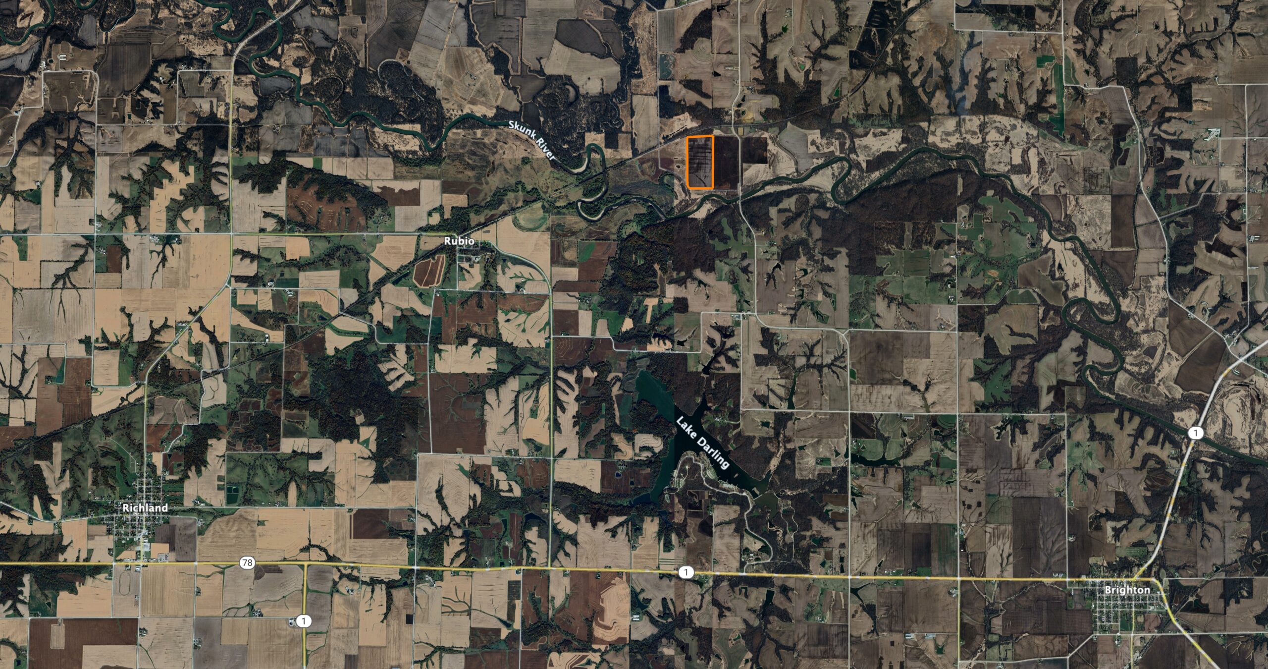 Bird Hunter's Paradise