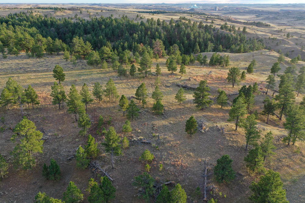 Pine Valley Build Site - Broad Axe Tract A5