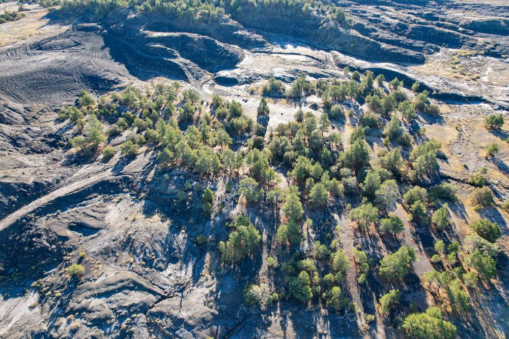 Juniper Hills Build Site