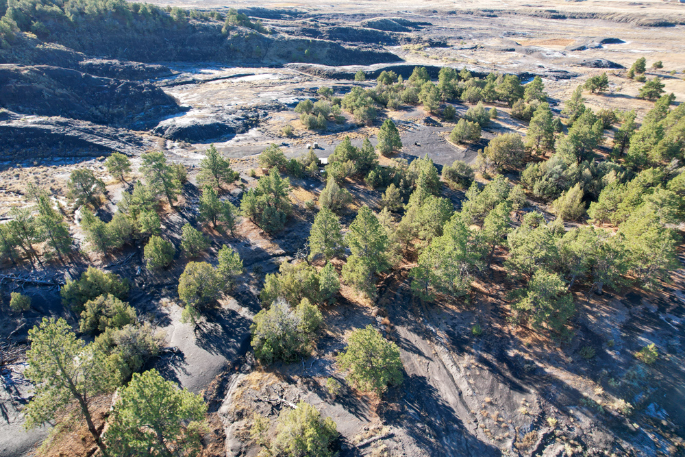 Juniper Hills Build Site