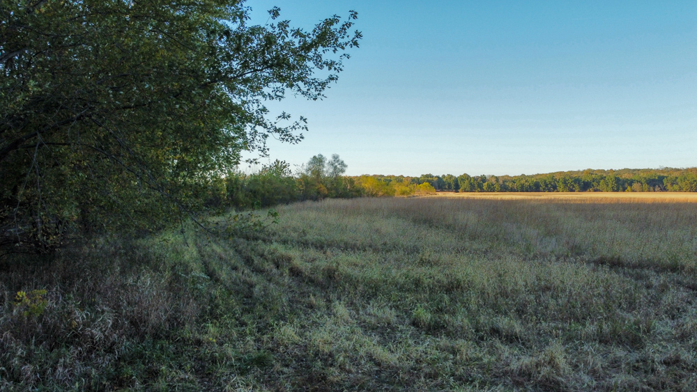 Bird Hunter's Paradise