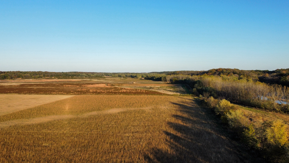 Bird Hunter's Paradise