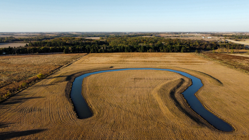 Bird Hunter's Paradise