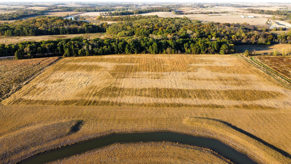 Bird Hunter's Paradise
