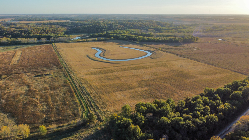 Bird Hunter's Paradise