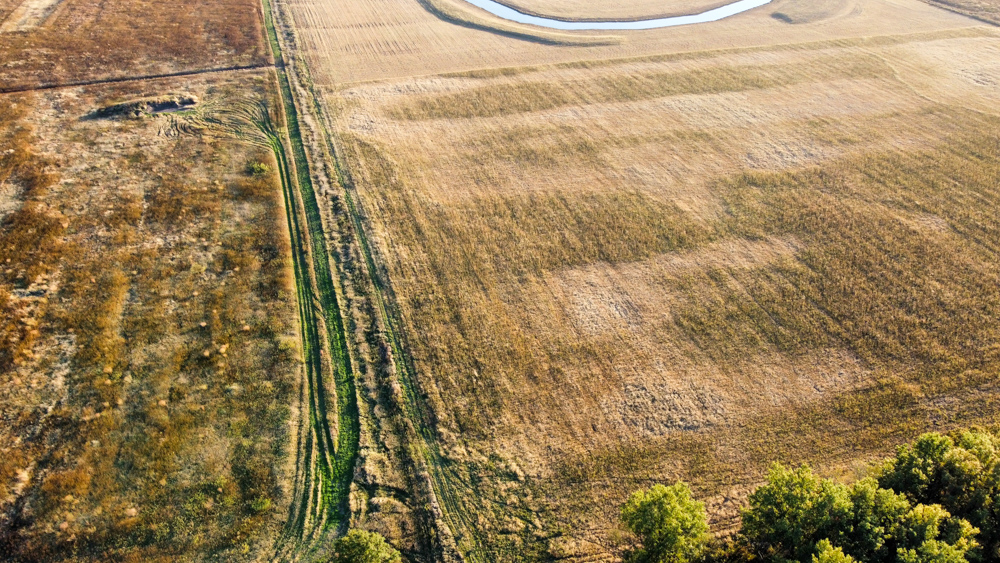 Bird Hunter's Paradise