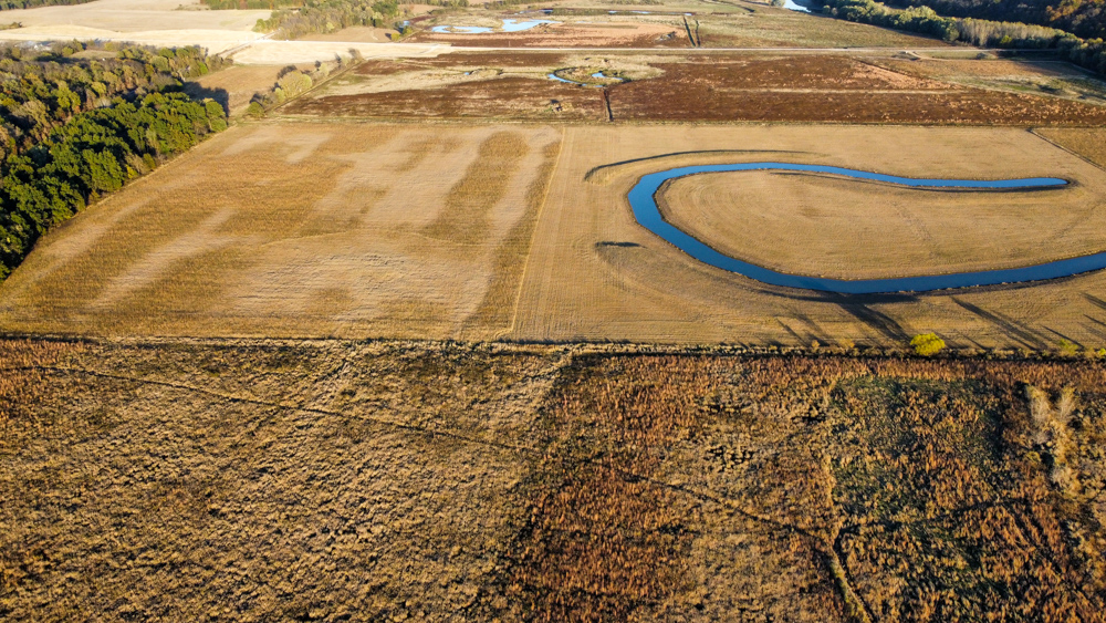 Bird Hunter's Paradise