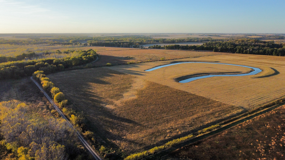 Bird Hunter's Paradise