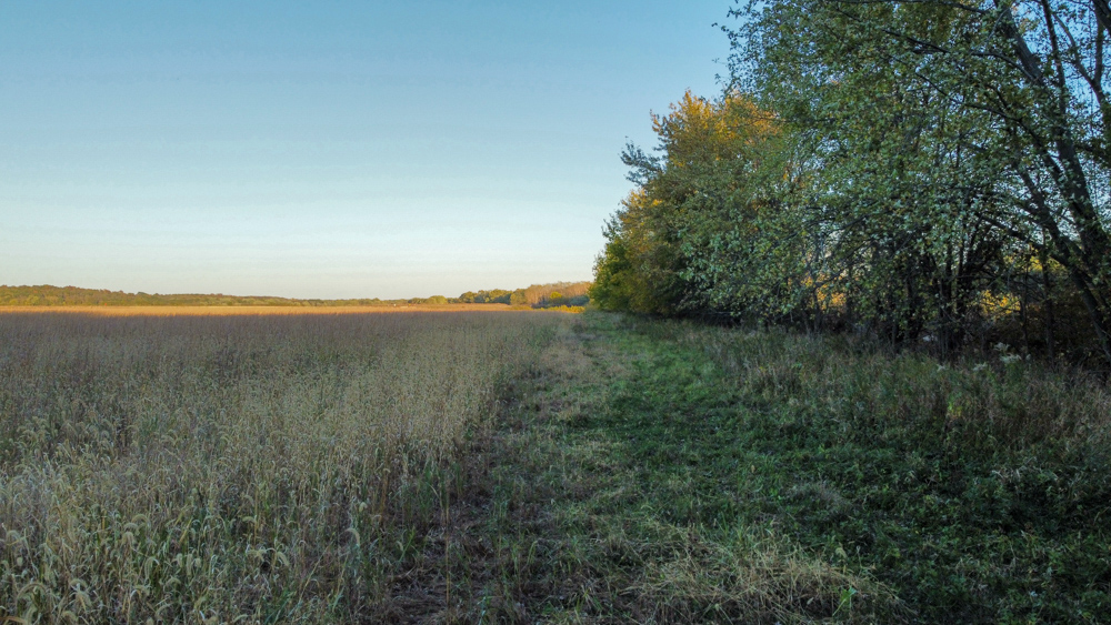 Bird Hunter's Paradise