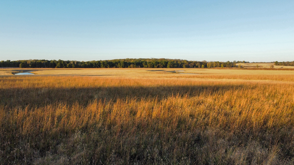 Bird Hunter's Paradise