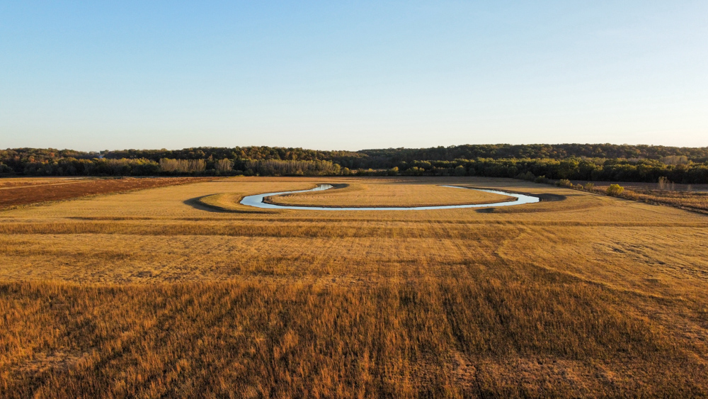 Bird Hunter's Paradise