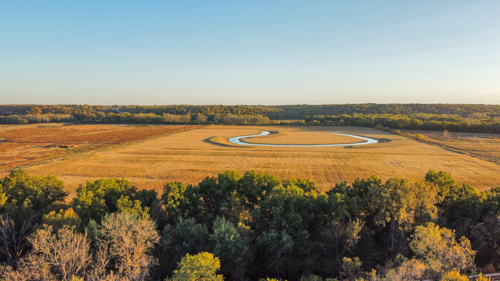 Bird Hunter's Paradise