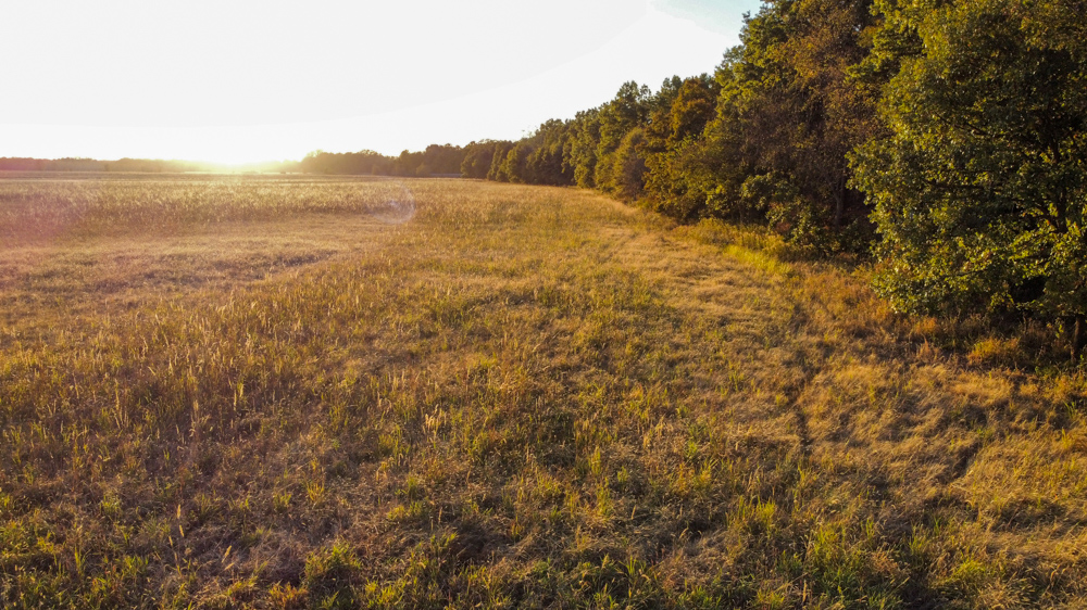 Bird Hunter's Paradise