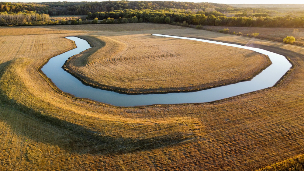 Bird Hunter's Paradise
