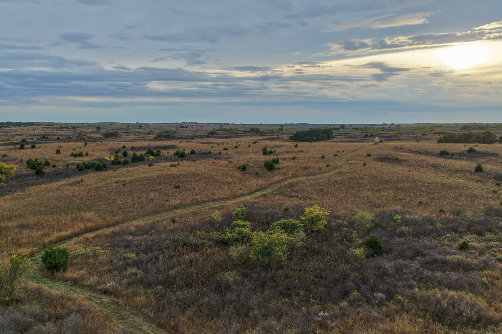 Ellis County Hunting Property