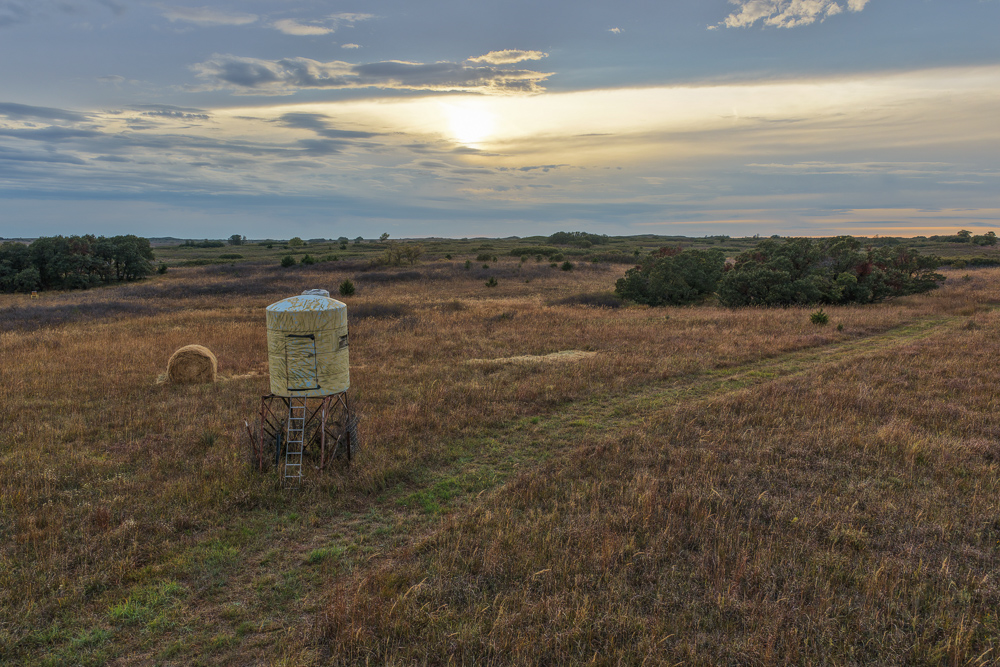 Ellis County Hunting Property