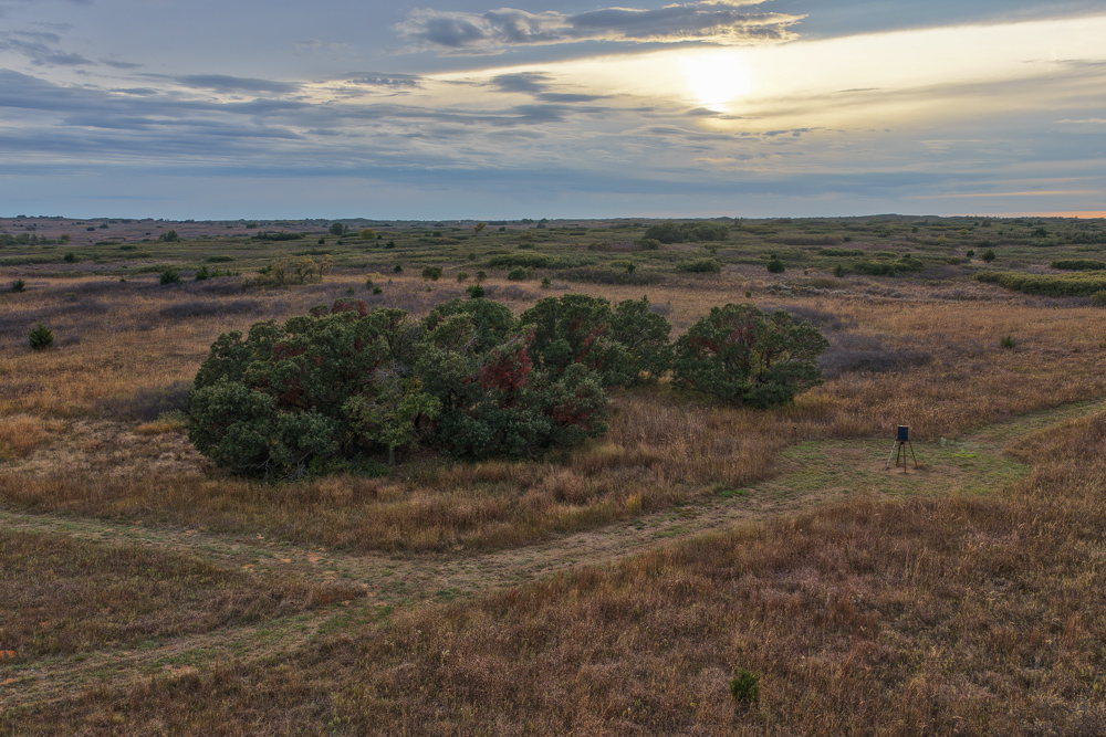 Ellis County Hunting Property
