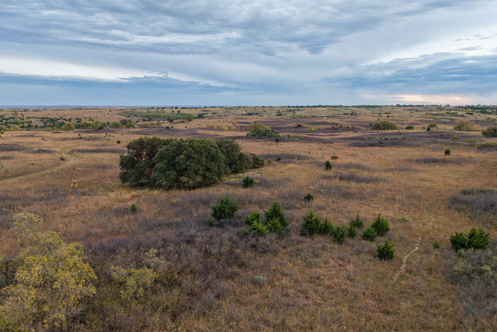 Ellis County Hunting Property