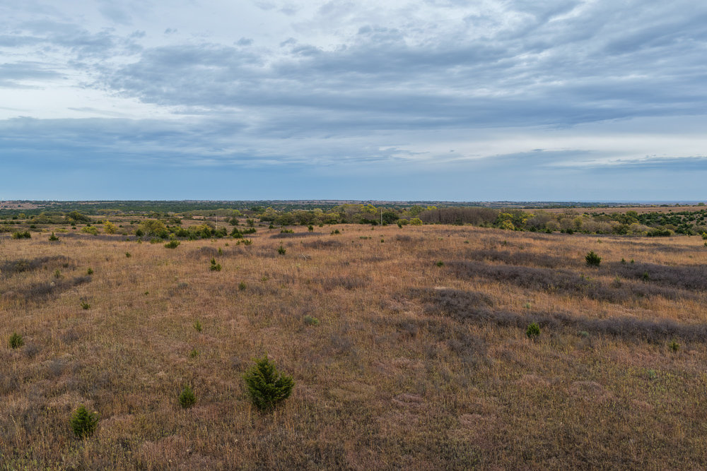 Ellis County Hunting Property