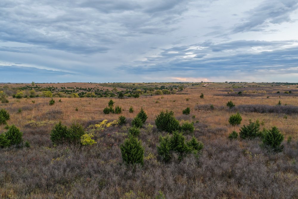 Ellis County Hunting Property