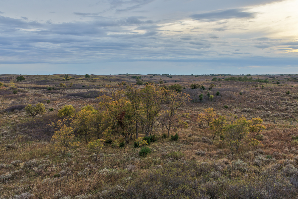 Ellis County Hunting Property